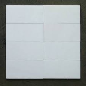 3x6 Thassos White Honed Marble Tile